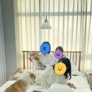 쓰리사이드스튜디오 이미지