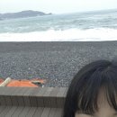 대송횟집 이미지