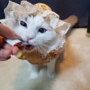 재상솔루션 이미지