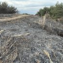 색달동-21 이미지