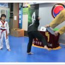 용인대 한얼 태권도 이미지