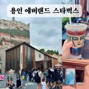 용인 에버랜드 스타벅스 오픈런 사이렌오더 후기