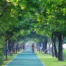 오학 걷고싶은거리 이미지