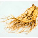 광명인삼 이미지