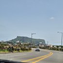 성산항입구 | 우도 성산항 선착장 배 시간, 우도 여행 팁, 코스 총정리, 렌트카 전기차 차량 승선 팁