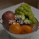 청년팜 과일 선물세트, 충남 청과 안전하게 배송받기!