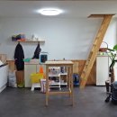 꽃길 걷는 고양이 이미지