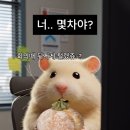 (주)골드넥스 이미지
