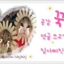 디디치킨(배방점) 이미지