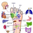 런너는 발을 사랑해야 합니다. 이미지