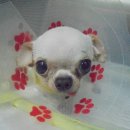 아랑동물병원 이미지