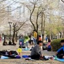 중앙공원_하 이미지