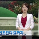 벌초나라