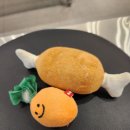 제천 그레이스 동물병원 이미지