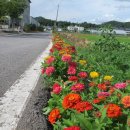 염치읍주민센터 이미지