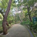 용곡초등학교 | 초보자 등산하기 좋은 아차산 정상길 코스 용마봉