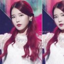 세미헤어 이미지