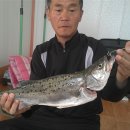 한전민박 Daum카페