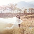 세영스튜디오 이미지