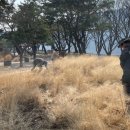 새별 웹이코노미