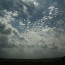 지원중학교 이미지