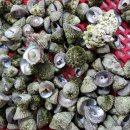 한림성모유치원 이미지