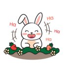 우리동네세탁소(런닝맨운동화빨래방) 이미지