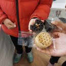 정선 사북시장 이미지