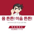 용인대 백호 태권도장 이미지