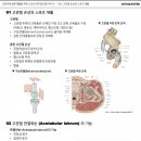이파마스터 '근골격계 질환재활' 수료증 써티 취득 및 강의후기