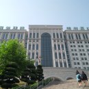 팀태권도&스포츠 이미지