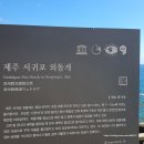 동홍동 791-3 | [제주/3일차]제주 남부여행 정방폭포, 외돌개 (feat. 천지연폭포, 천제연폭포 비교후기)