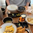 4587 | [울산/달동] 달동카츠 | 울산 남구청 인생 가츠동 맛집 내돈내산 솔직후기