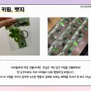 환서중학교 이미지