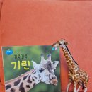안녕 기린 | 동물피규어 제트피규어 기린 내돈내산