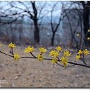 온천공원 이미지