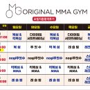 ORIGINAL MMA GYM 이미지