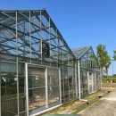 평택시 농업생태원3 이미지