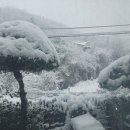 태전밝은안과