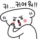 슈나애견미용 이미지