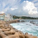 네르하쏠 이미지