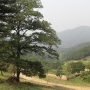 꽃동네 괴산목장 이미지