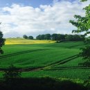 오곡2농장 이미지