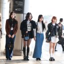 사쿠라 이미지