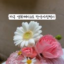 뭉탱잇 네이버블로그