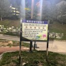 안동강변체육공원 축구장 네이버블로그