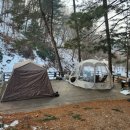 양평숲 비룡캠프장 | 양평숲비룡캠핑장후기