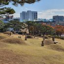 영신군 이이묘 이미지