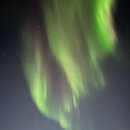 인더시티 명동(Inn The City Myeongdong) | 🇨🇦 캐나다 8박 10일 자유여행 prologue (시애틀 경유 밴프 옐로나이프 토론토 나이아가라)