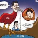 27 이미지